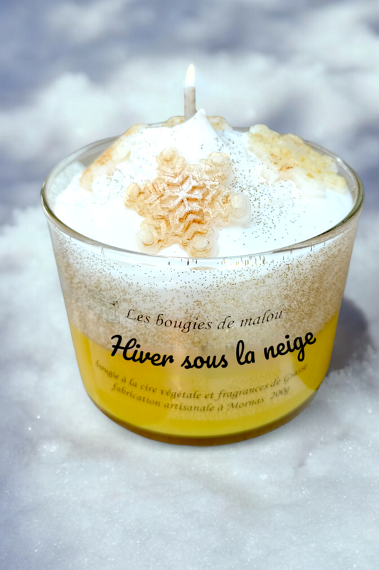 Hiver enneigé